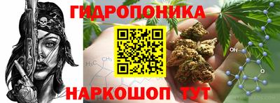 альфа пвп Аргун